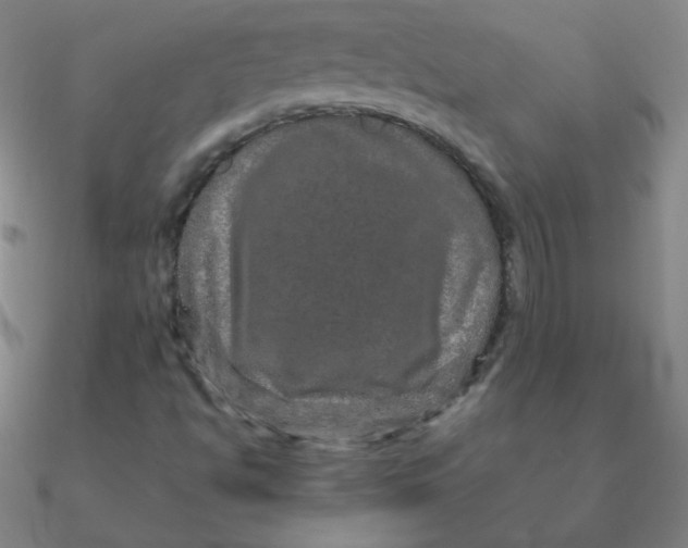 X0000090621494200708071214