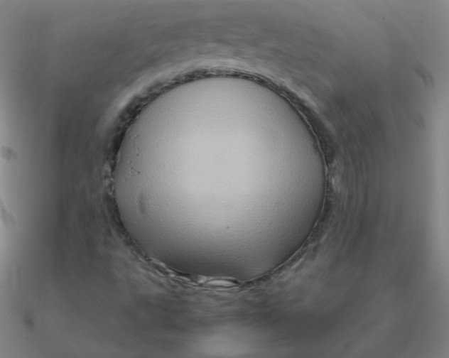 X0000090621495200708071214