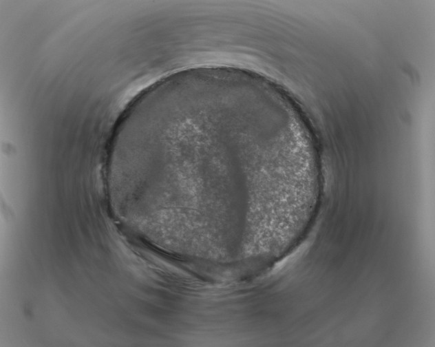 X0000090621497200708071214