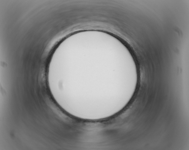 X0000090621498200708071214