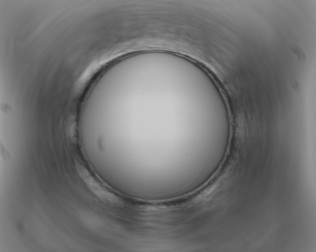 X0000090621499200708071214