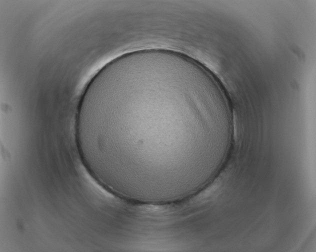 X0000090621500200708071214