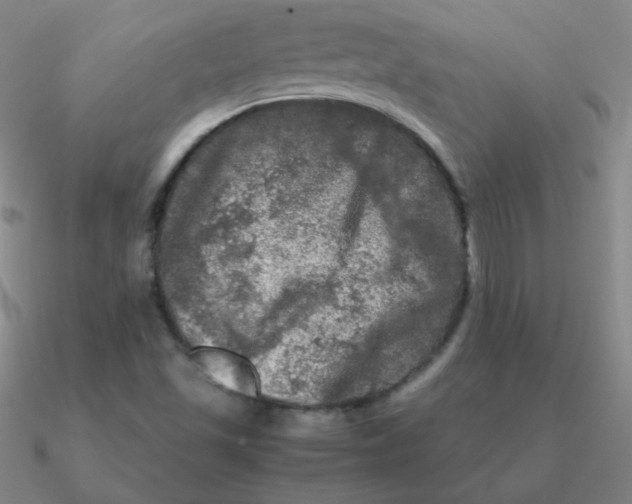 X0000090621501200708071214