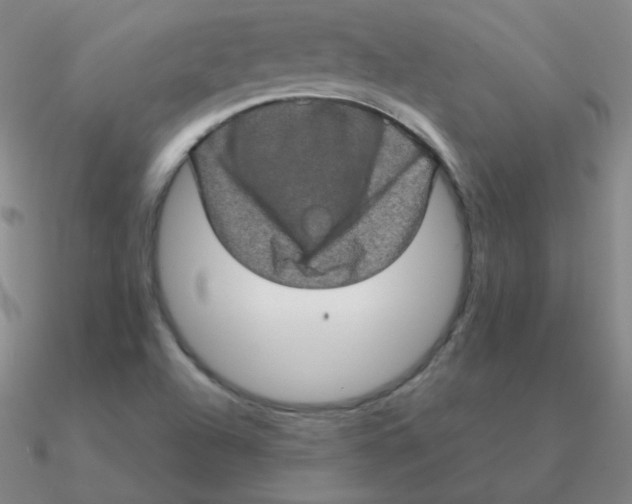 X0000090621504200708071214