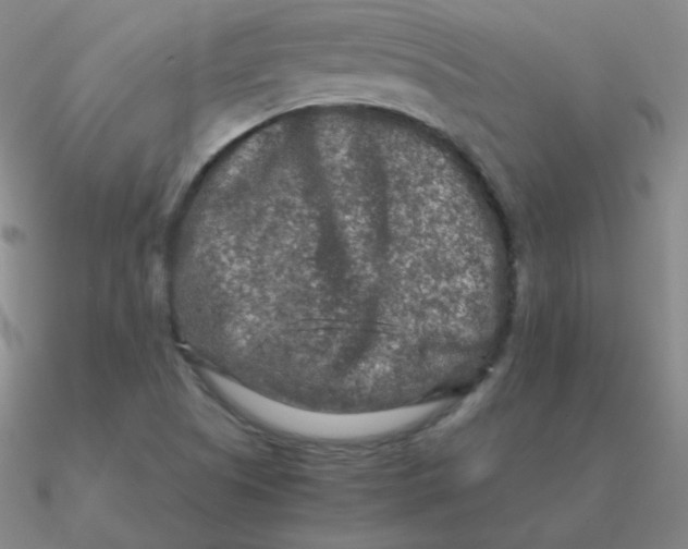 X0000090621505200708071214