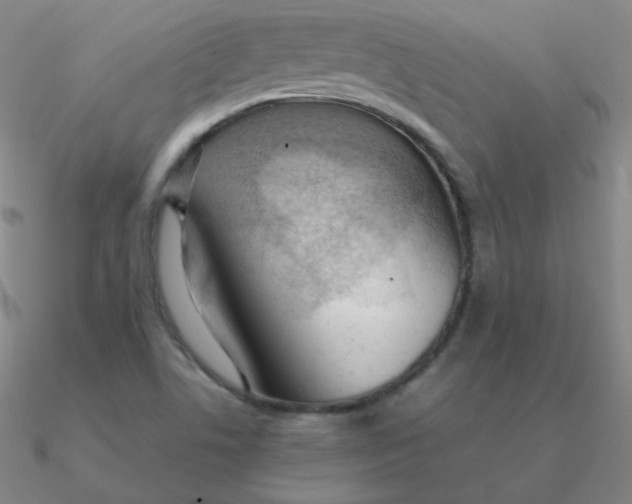 X0000090621506200708071214