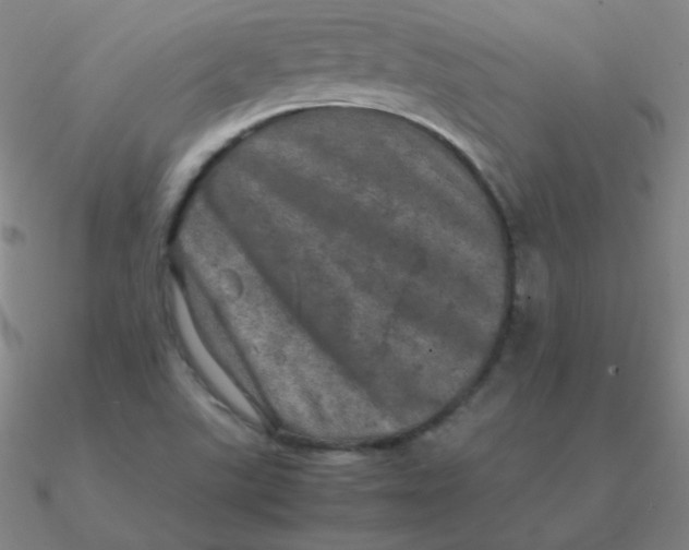 X0000090621507200708071214