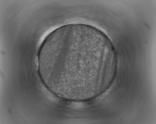 X0000090621509200708071214