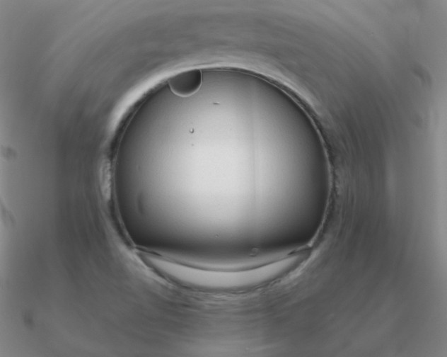 X0000090621510200708071214