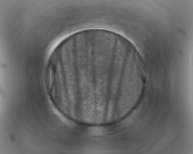 X0000090621511200708071214