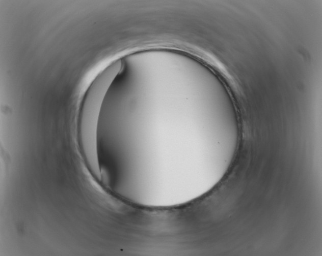 X0000090621512200708071214