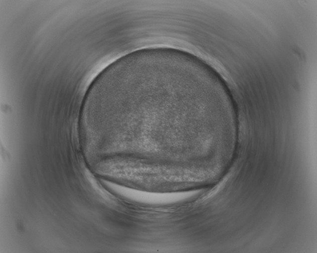 X0000090621513200708071214