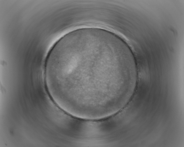 X0000090621514200708071214