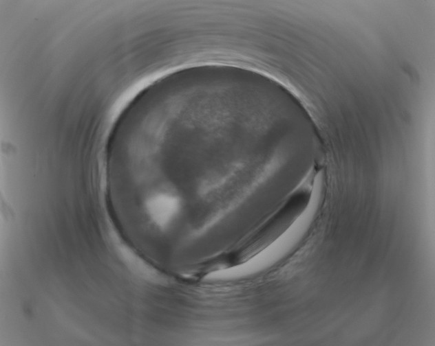 X0000090621515200708071214