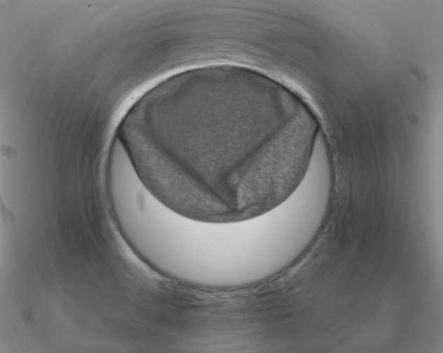 X0000090621516200708071214