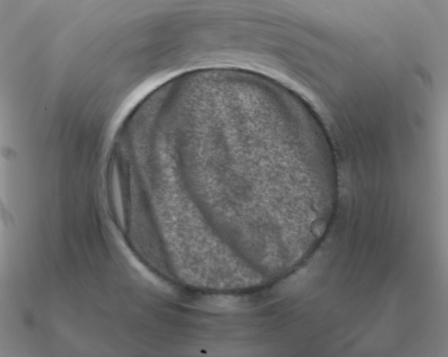 X0000090621517200708071214