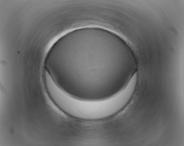 X0000090621518200708071214