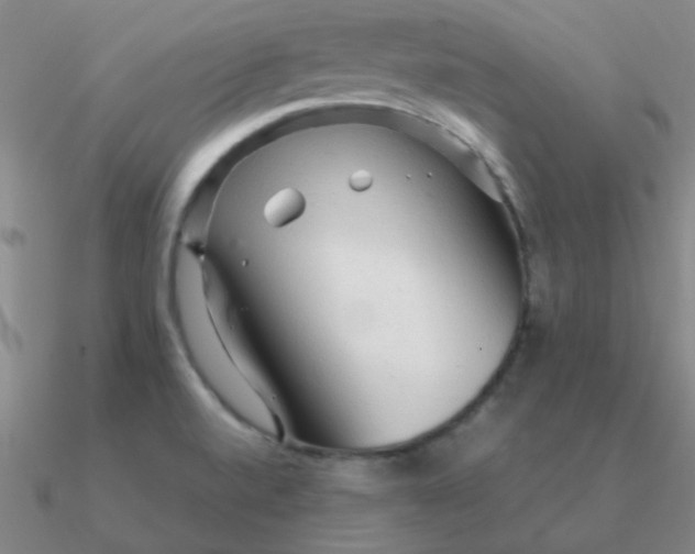 X0000090621520200708071214