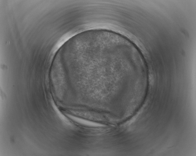 X0000090621521200708071214