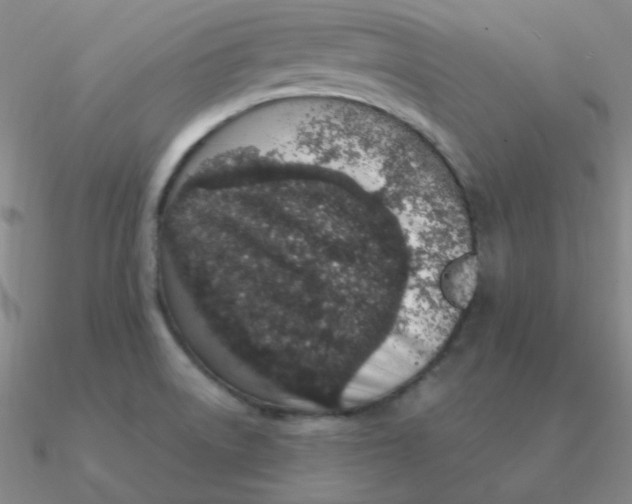 X0000090621522200708071214