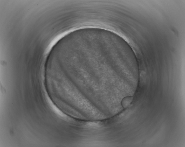 X0000090621523200708071214