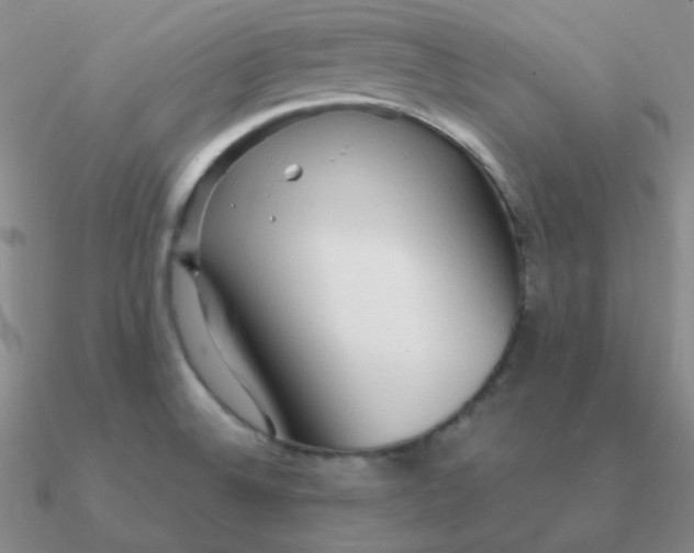 X0000090621524200708071214