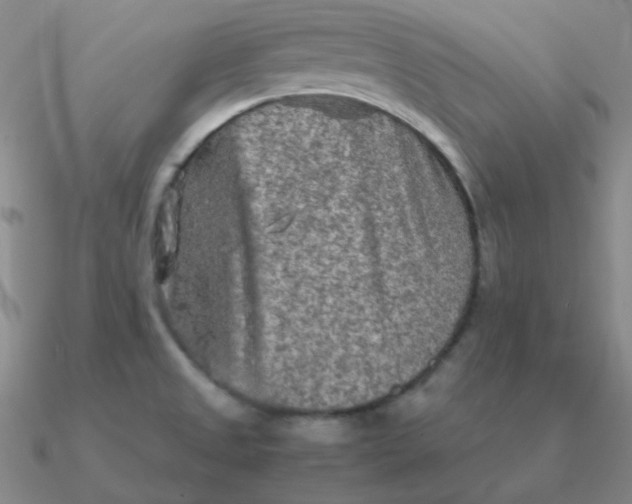 X0000090621525200708071214