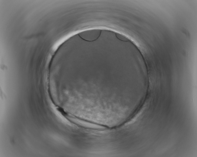 X0000090621526200708071214