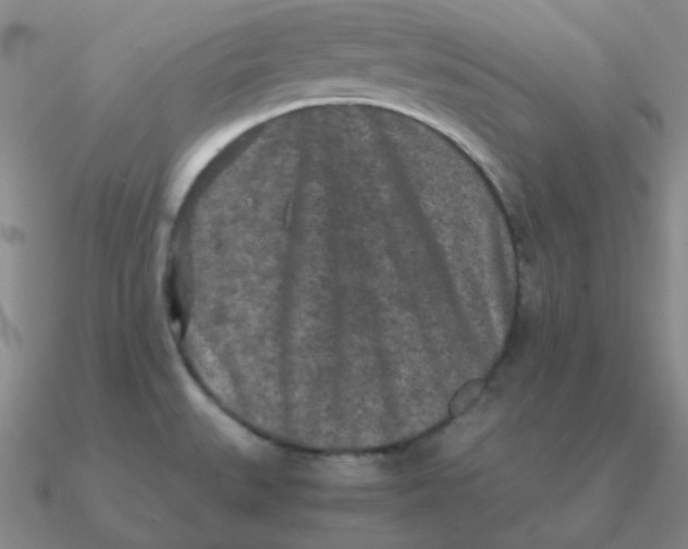 X0000090621527200708071214