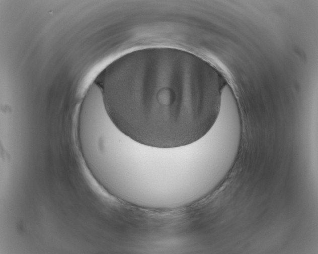 X0000090621528200708071214