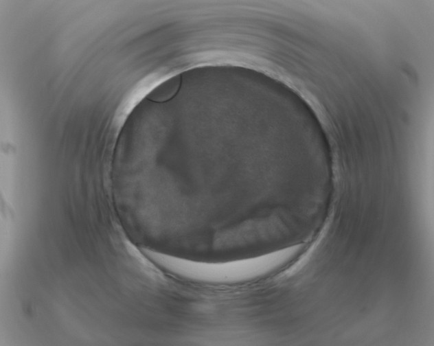 X0000090621529200708071214