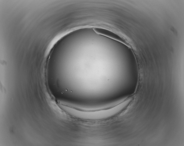 X0000090621530200708071214