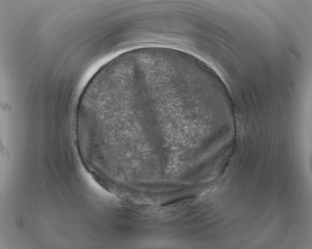 X0000090621531200708071214