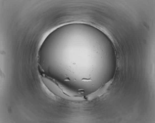 X0000090621532200708071214