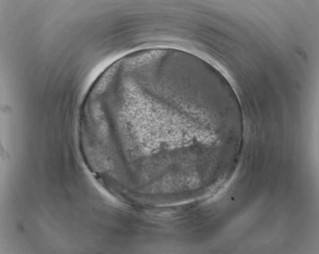 X0000090621533200708071214