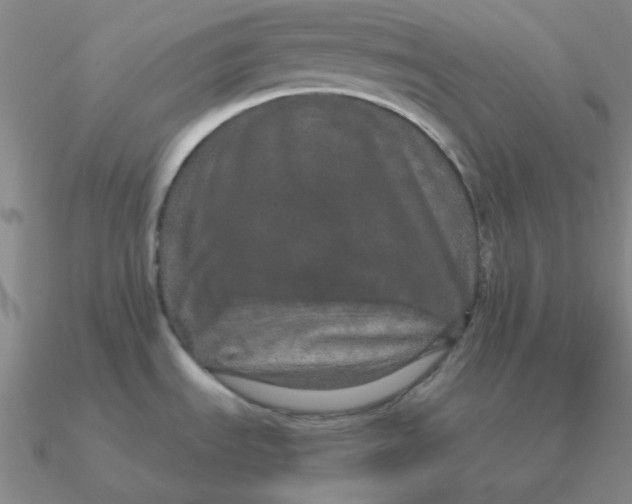 X0000090621535200708071214