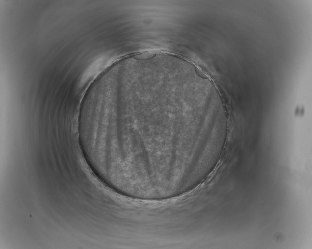 X0000090620002200708141422