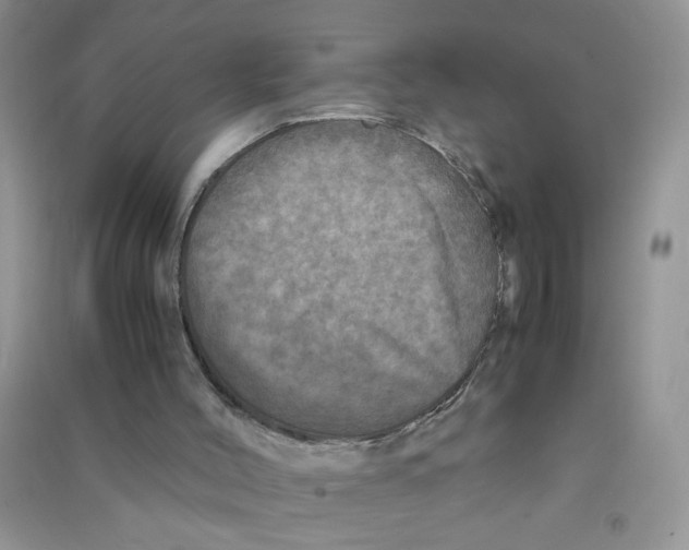 X0000090620004200708141422