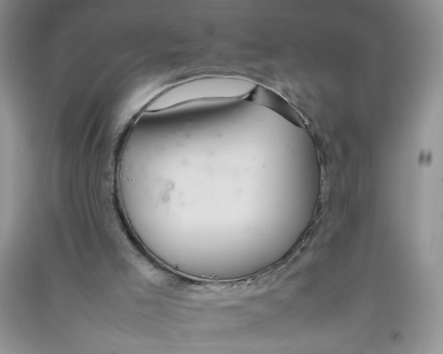 X0000090620005200708141422