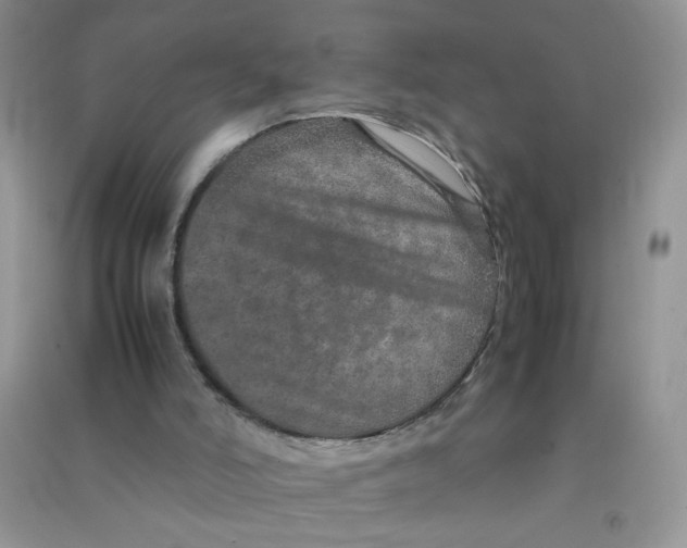 X0000090620006200708141422