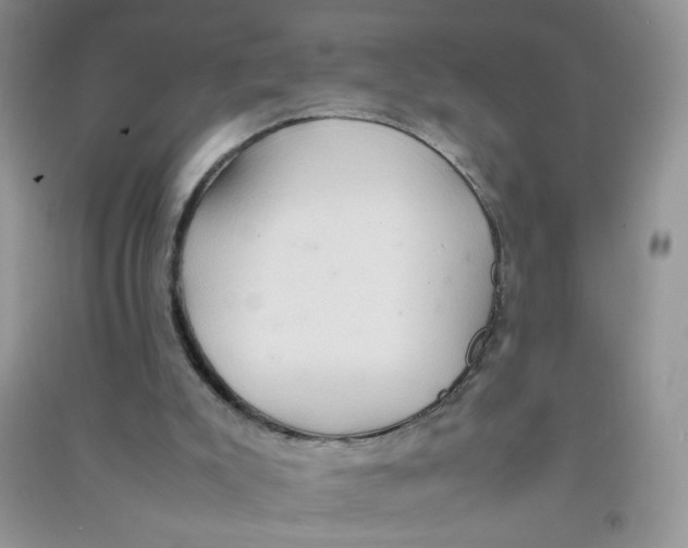 X0000090620007200708141422