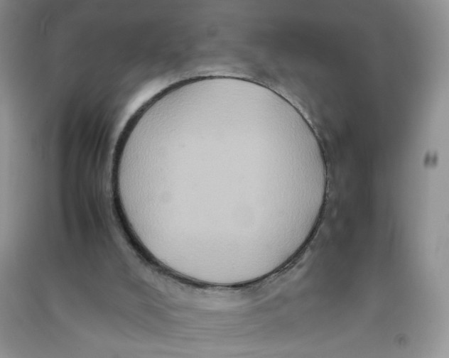 X0000090620008200708141422