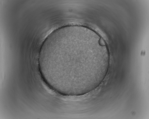 X0000090620009200708141422