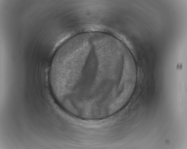 X0000090620010200708141422