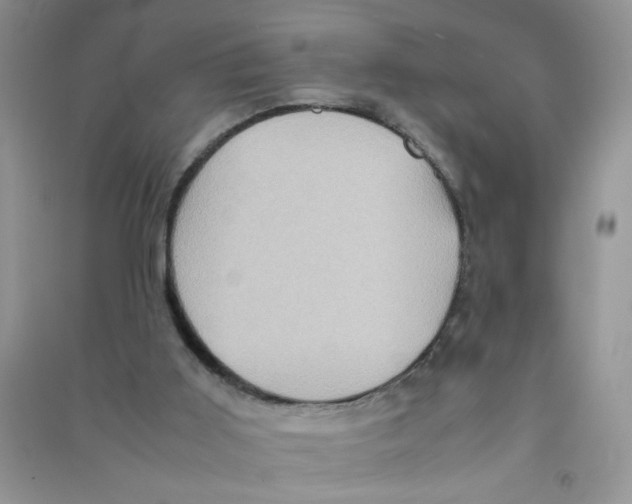 X0000090620011200708141422