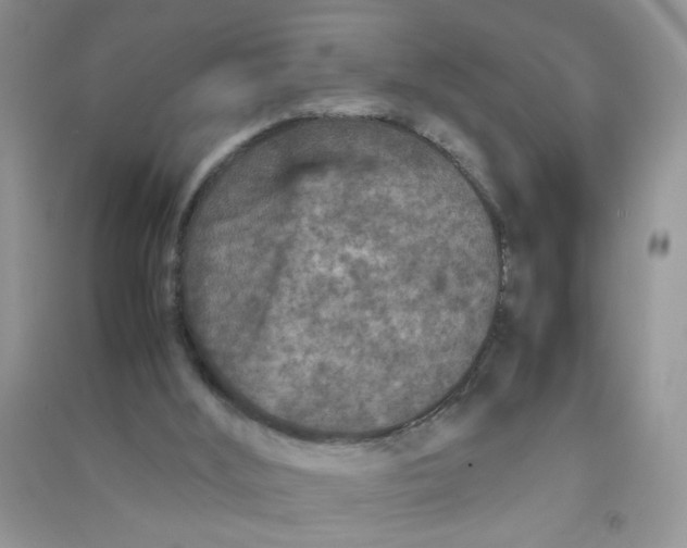 X0000090620012200708141422