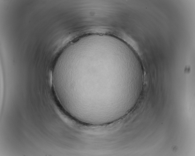 X0000090620013200708141422