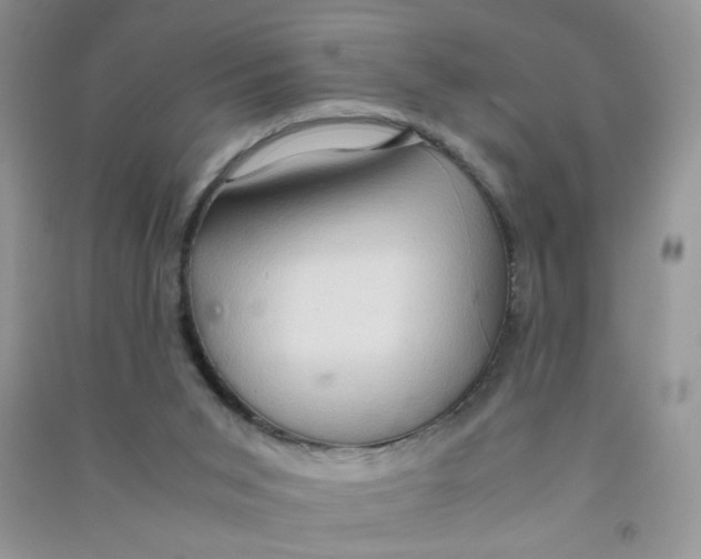 X0000090620015200708141422