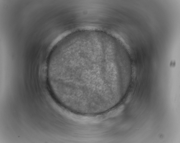 X0000090620016200708141422