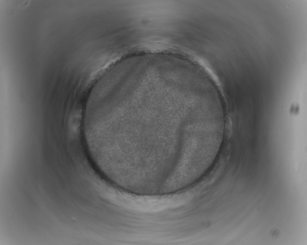 X0000090620018200708141422